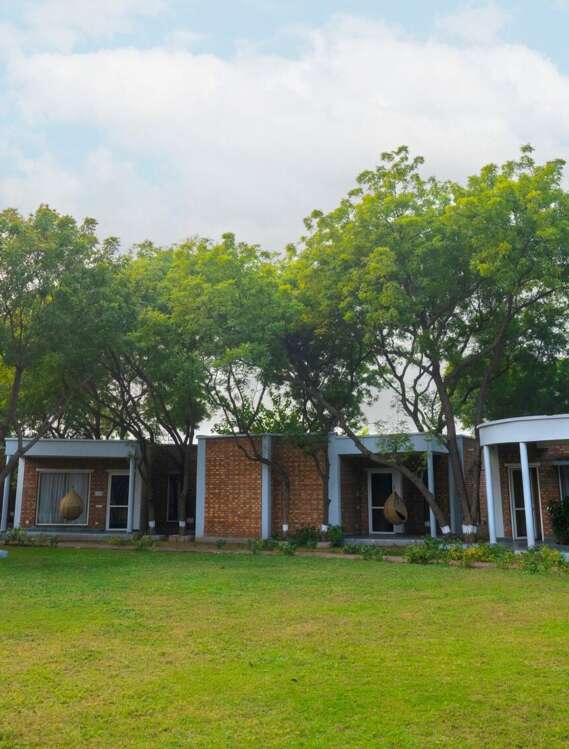 ALI07389-e1703011919225